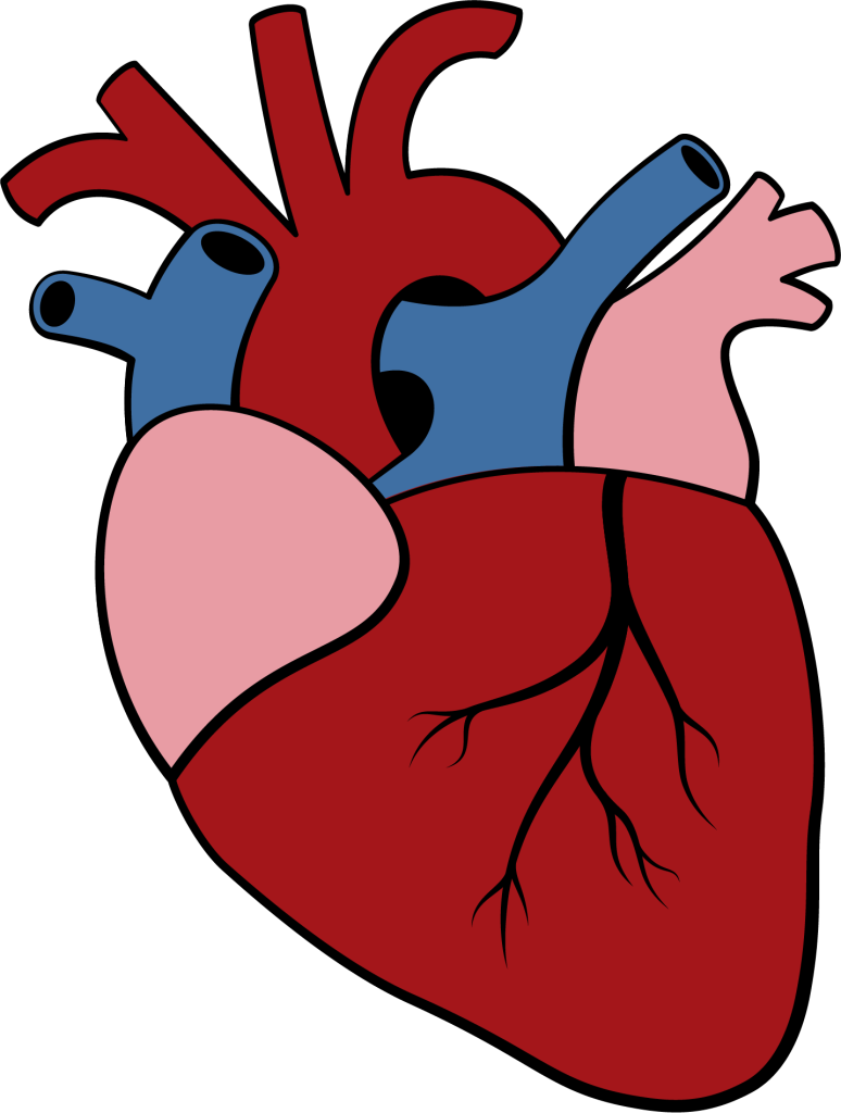 Funny & Unique Valentine's Day Cards | card-e-ology